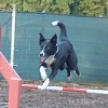 2005_agility_Jessy_in_Action