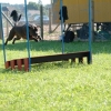 2008_agility_A1