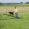 2008_agility_A11