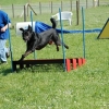 2008_agility_A12