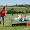 2008_agility_A13