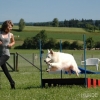2008_agility_A14