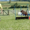 2008_agility_A15