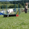 2008_agility_A24