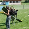 2008_agility_A27