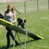2008_agility_A28