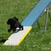 2008_agility_A29