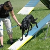 2008_agility_A31