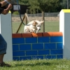 2008_agility_A32