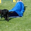 2008_agility_A33