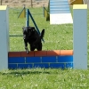 2008_agility_A35
