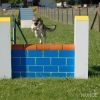 2008_agility_A6
