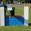 2008_agility_A7