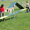 2008_agility_A8