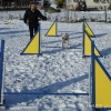 2008_agility_DSC00083
