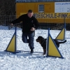 2008_agility_DSC00149