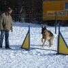2008_agility_DSC00150