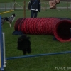 2008_agility_DSC00680