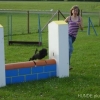 2008_agility_DSC01407