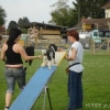 2008_agility_DSC01408