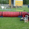 2008_agility_DSC01414