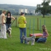 2008_agility_DSC01417