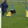 2008_agility_DSC02938