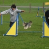 2008_agility_DSC02939