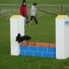 2008_agility_DSC02942