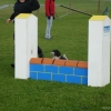 2008_agility_DSC02943