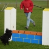 2008_agility_DSC02945
