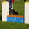 2008_agility_DSC02946