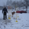2008_agility_DSC03222