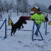 2008_agility_DSC03301