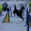 2008_agility_DSC03308