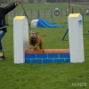 2008_agility_DSC_0047
