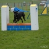 2008_agility_DSC_0048
