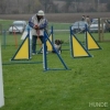 2008_agility_DSC_0049