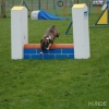 2008_agility_DSC_0050