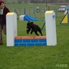2008_agility_DSC_0052