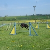 2009_agility_DSC03771