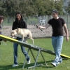 2009_agility_DSC_0107