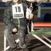 2012_agility-plausch_MHS4529