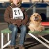 2012_agility-plausch_MHS4550