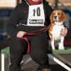 2012_agility-plausch_MHS4688