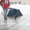 2012_agility-plausch_MHS4731