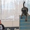 2012_agility-plausch_MHS5077
