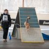 2012_agility-plausch_MHS5159