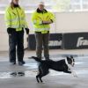 2012_agility-plausch_MHS5176