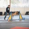 2012_agility-plausch_MHS5327